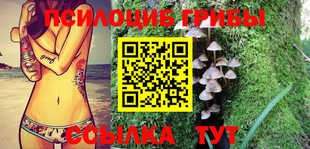 Псилоцибиновые грибы Magic Shrooms  Вход с VPN  закладки  Псилоцибиновые грибы ЛСД  Зеленодольск 