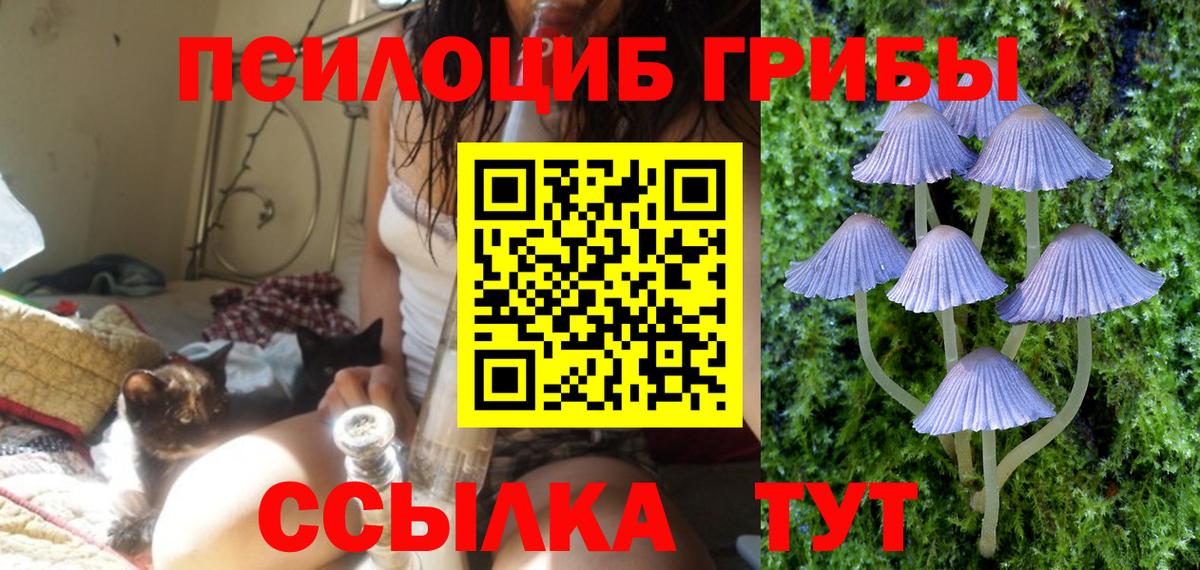 НБОМе Зеленодольск
